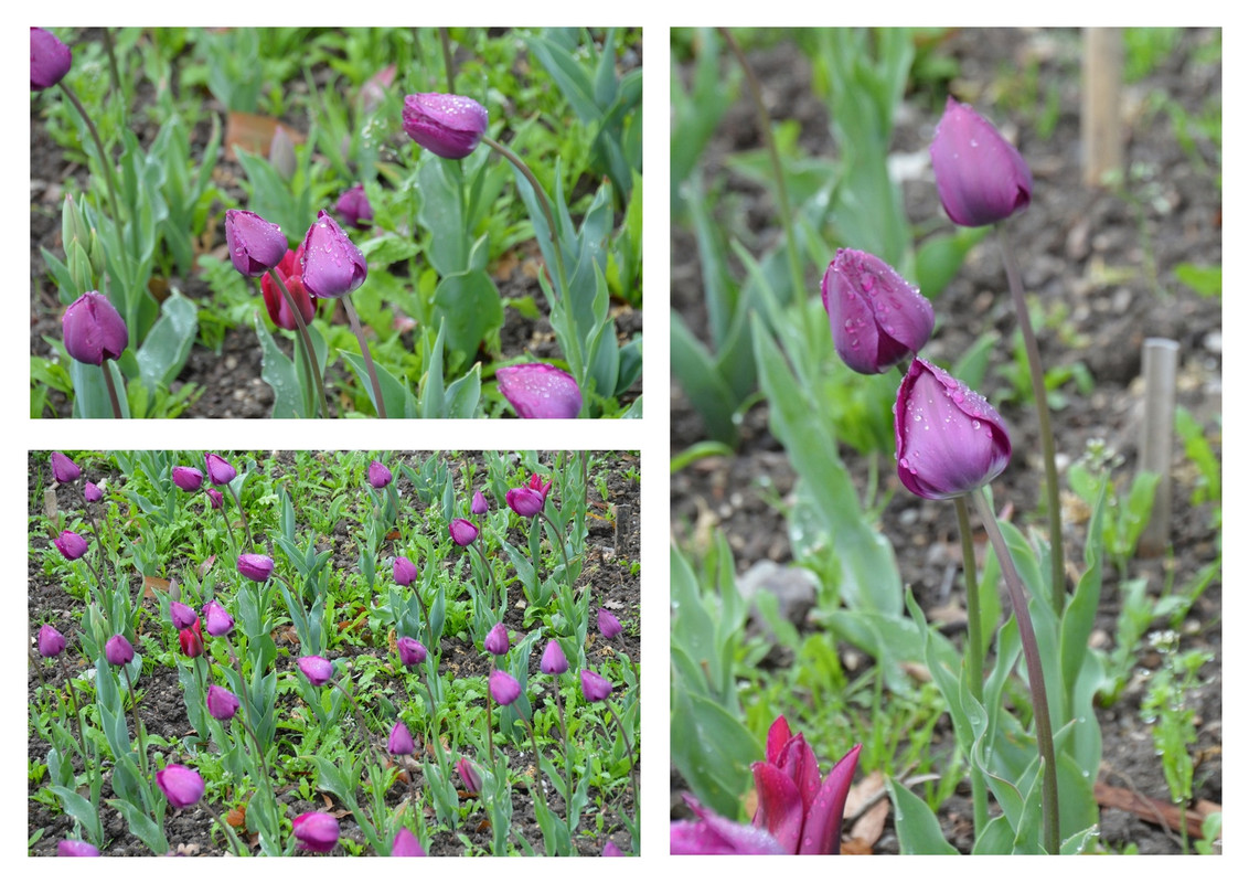 Новый коллаж.jpg 10