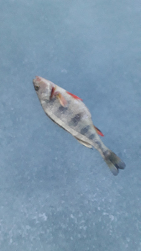 20190217_173129