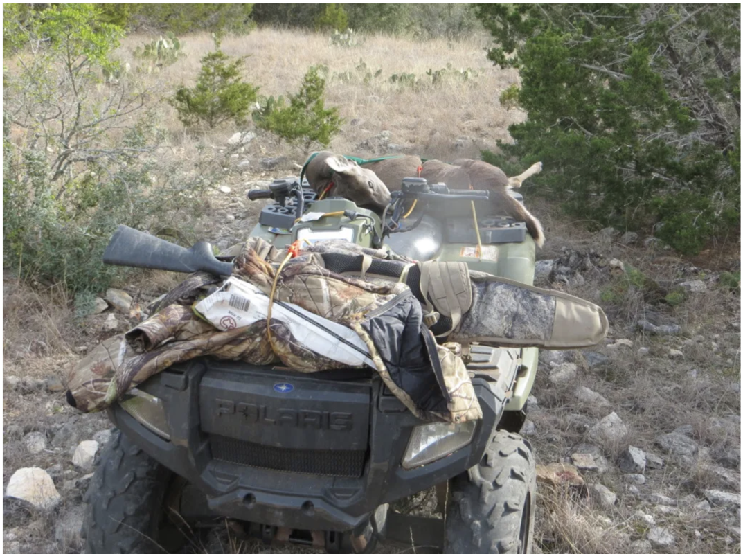 Screen Shot 2025-04-20 at 2.31.39 AM