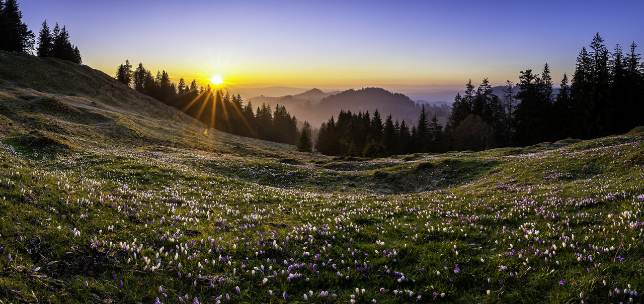16657777995-a088600643-k-sunset.jpg