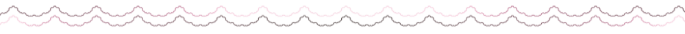 Bottom Divider
