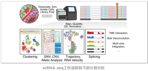 按照分析套路,梳理一下癌症研究中的scRNA-seq计算方法-1.png