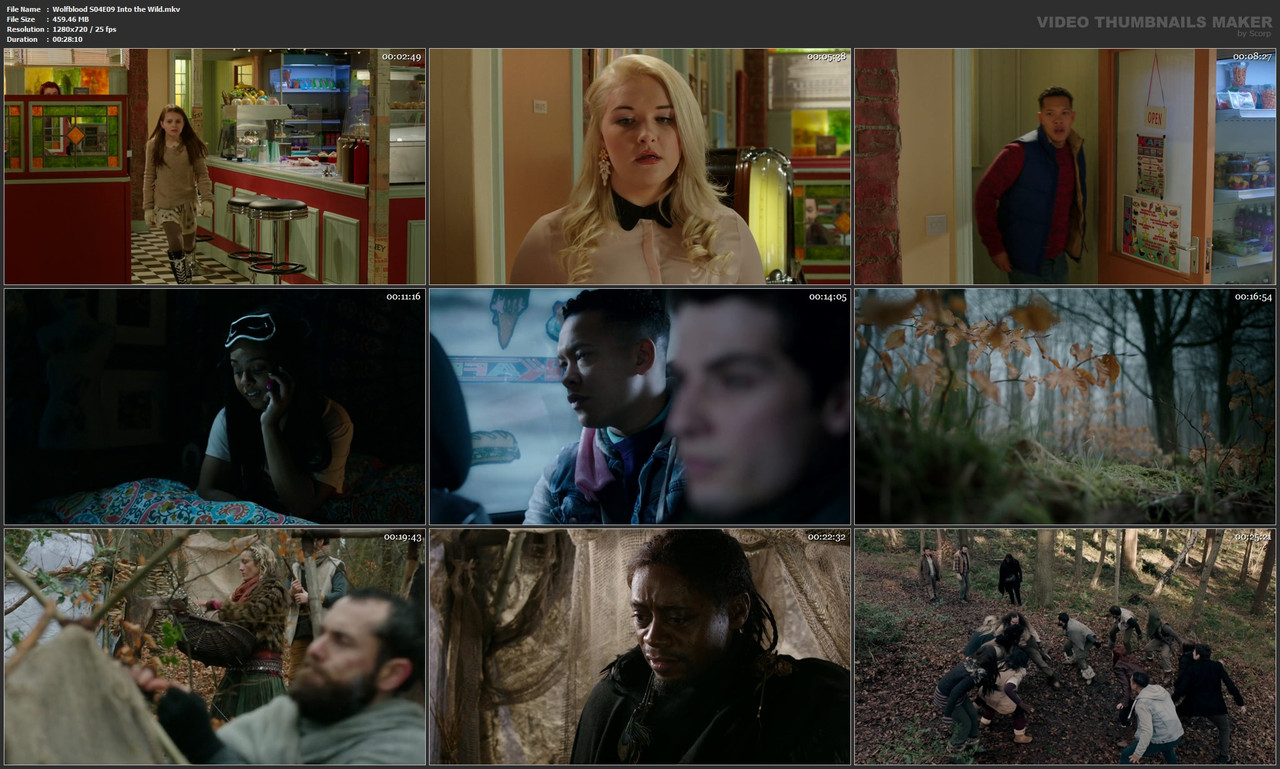 Wolfblood S04E09 Into the Wild.mkv