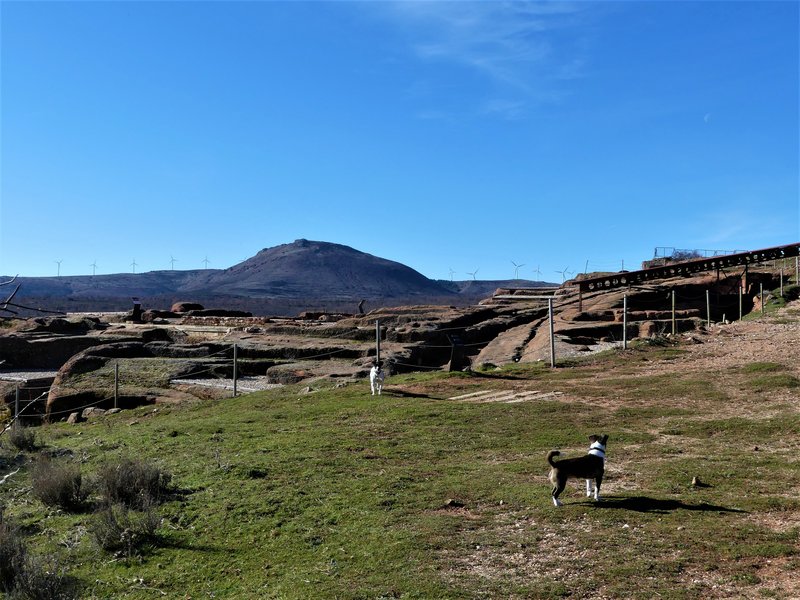 YACIMIENTO ARQUEOLOGICO DE TIERMES-16-2-2020 - Soria y sus pueblos-2010/2013/2020 (30)