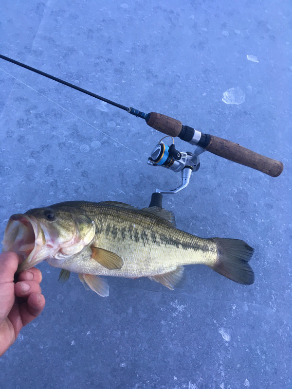 AF1B09AE-292D-4F90-8D68-C0330F937010