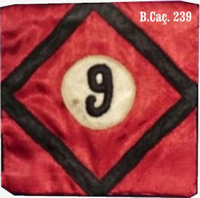 BCac239