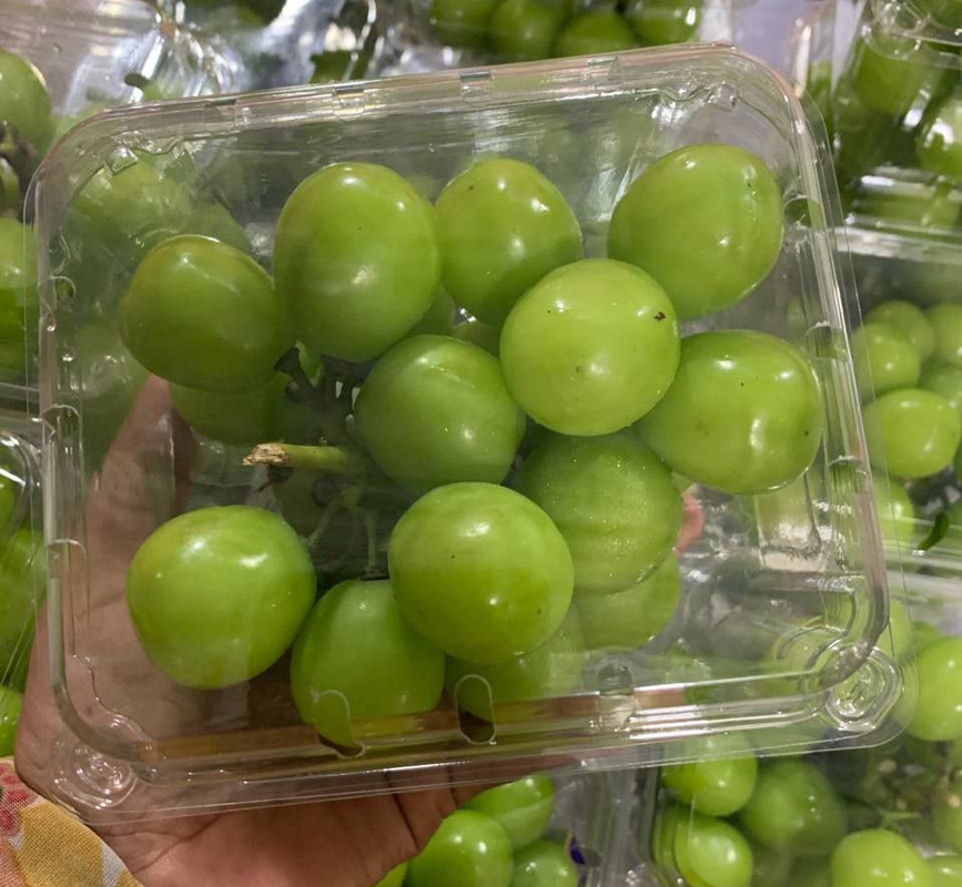 ទំពាំងបាយជូខៀវ