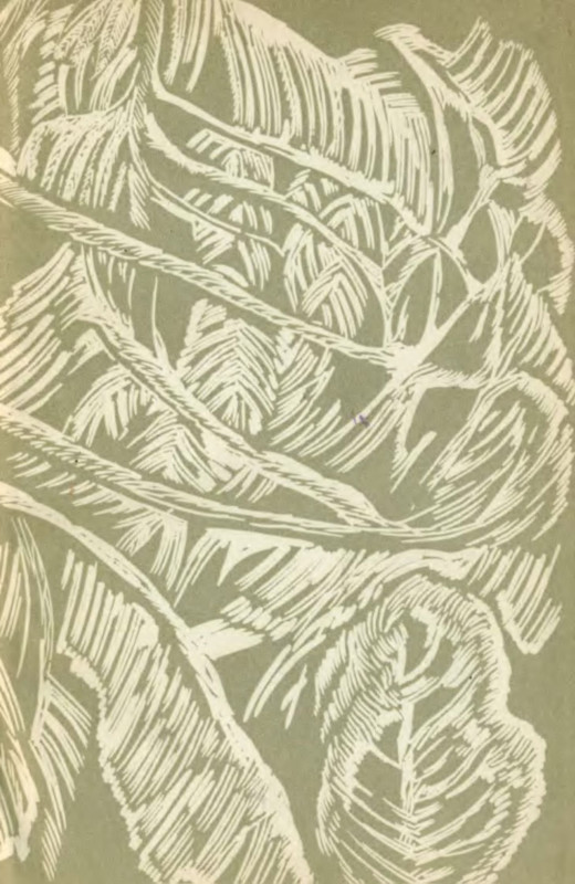 p0005