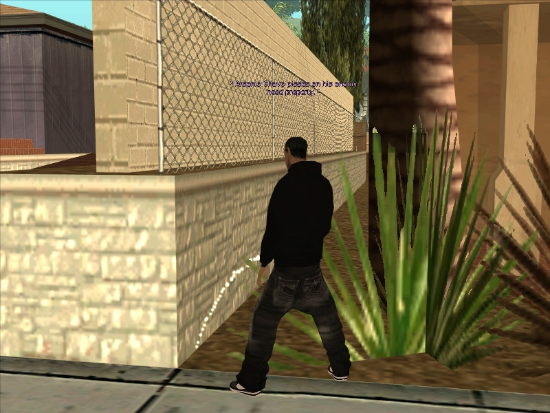 gallery41.jpg