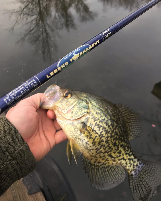 45A26A57-40F5-4F2B-AF3D-E5CE2EBAF353