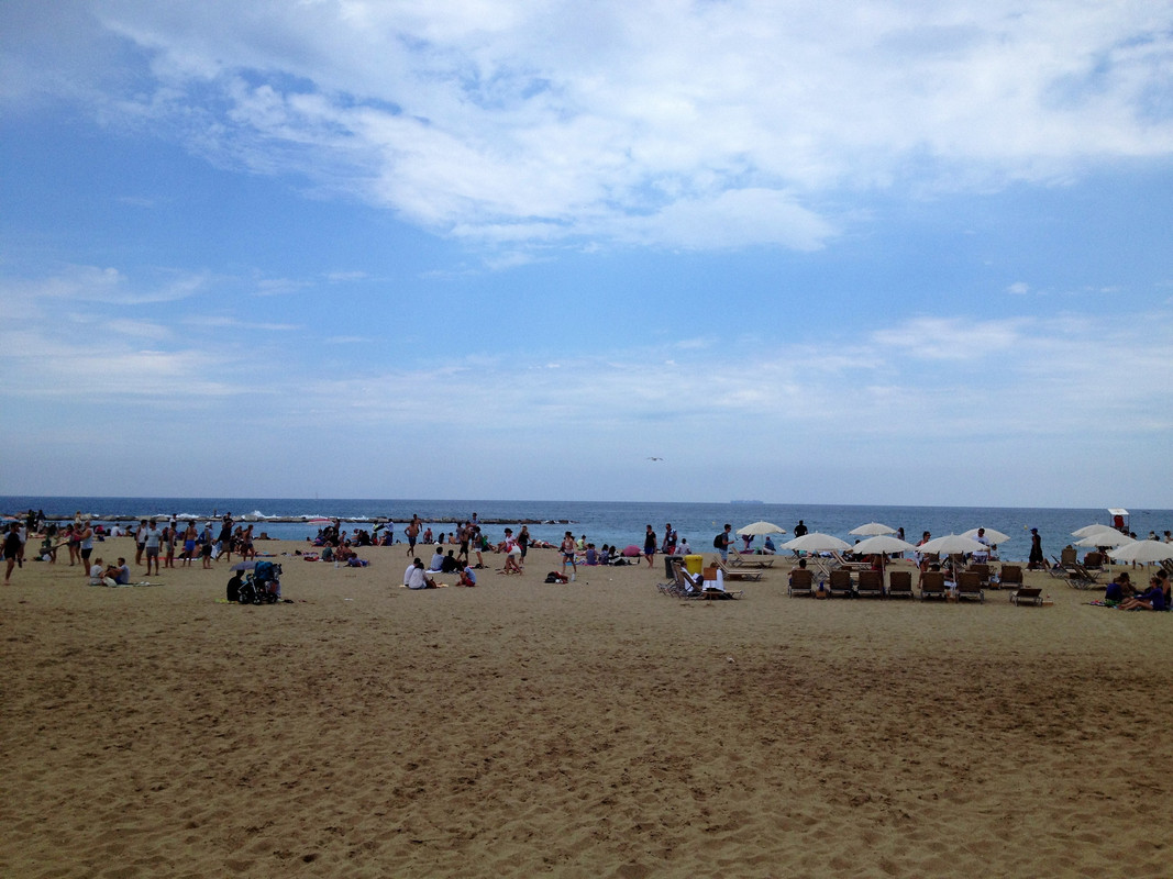 Bradley Schnickel (9)