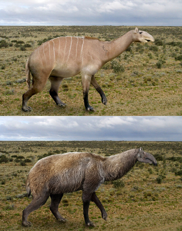 a5c9129ba344d6fff67628002da70f32