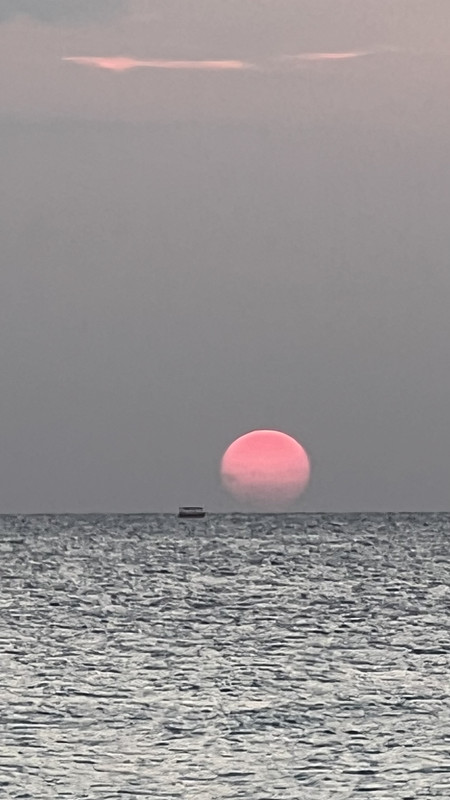 1A4A1556-4E19-44FD-B4B8-6C726C79ED4B