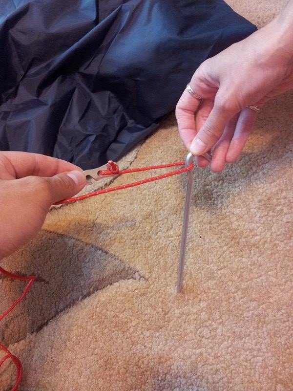 13487532_1026451990743555_111122392_n