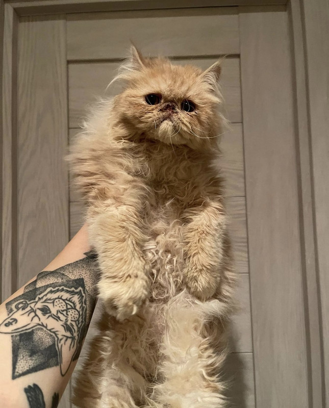 957C4003-7542-46EC-B7EC-43C76564D189