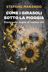 Stefano Marando – Come i girasoli sotto la pioggia (2026)