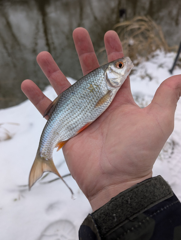 PXL 20260101 095337854