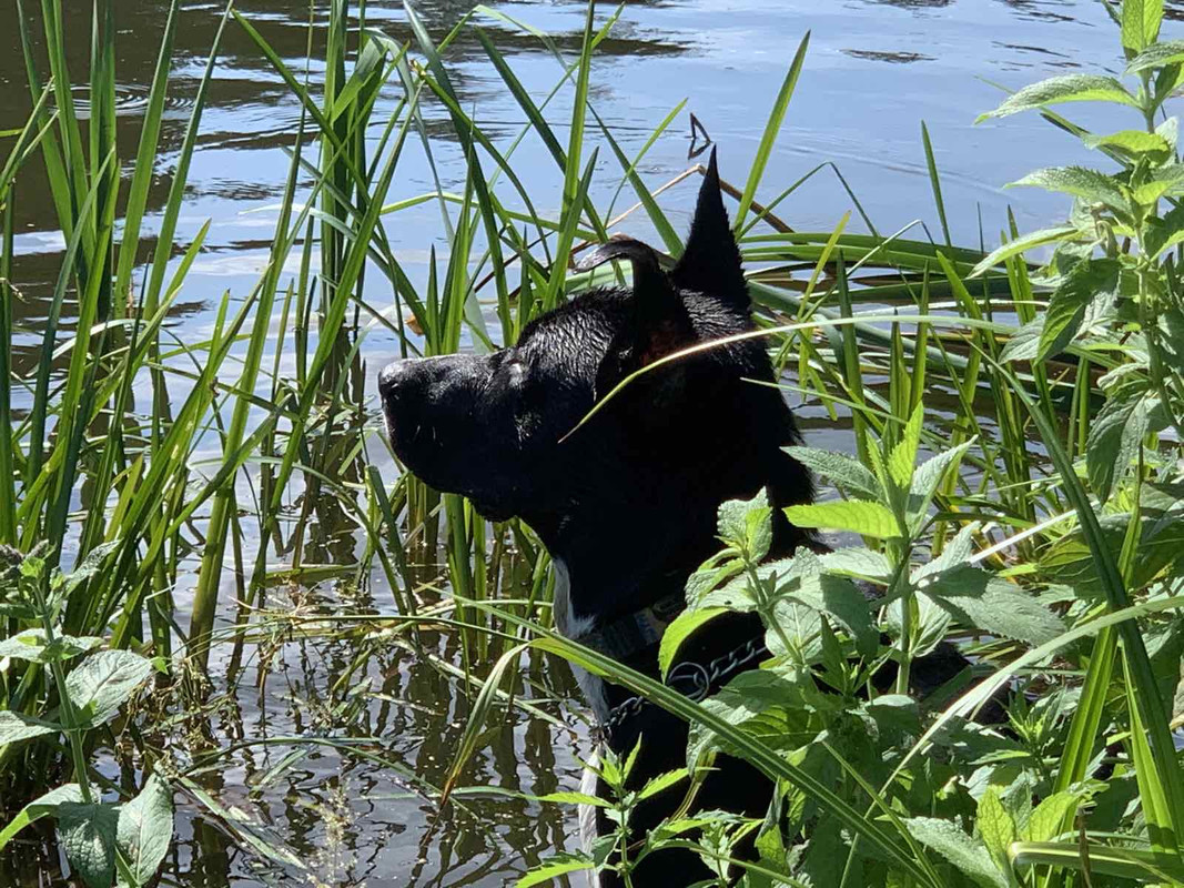 865CBCF3-A93F-4FF6-8486-F8A212B584D1