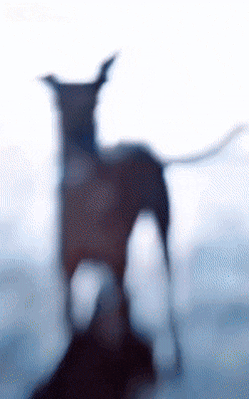 994.gif
