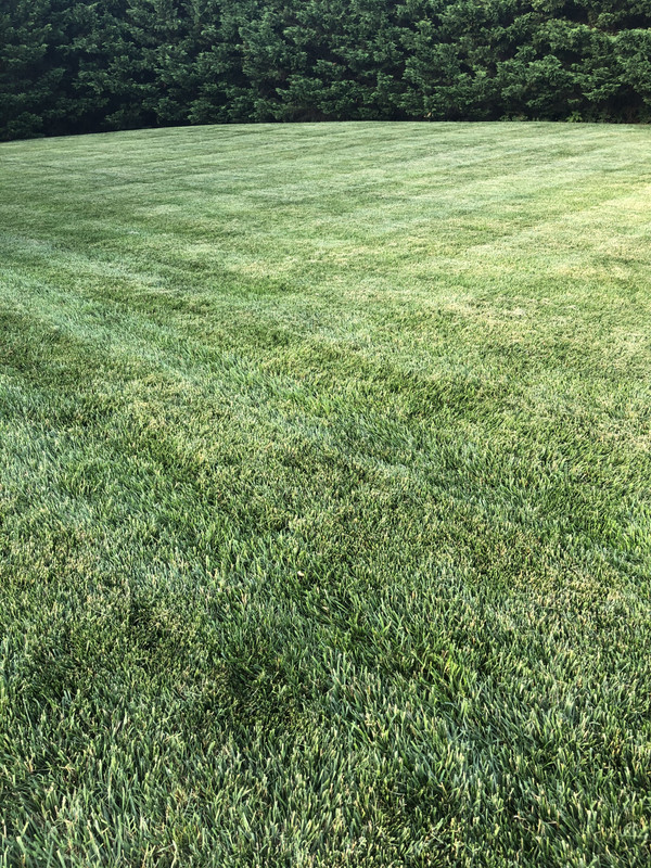 4567AB6E-0EF7-48AD-9428-3A68B5C34836