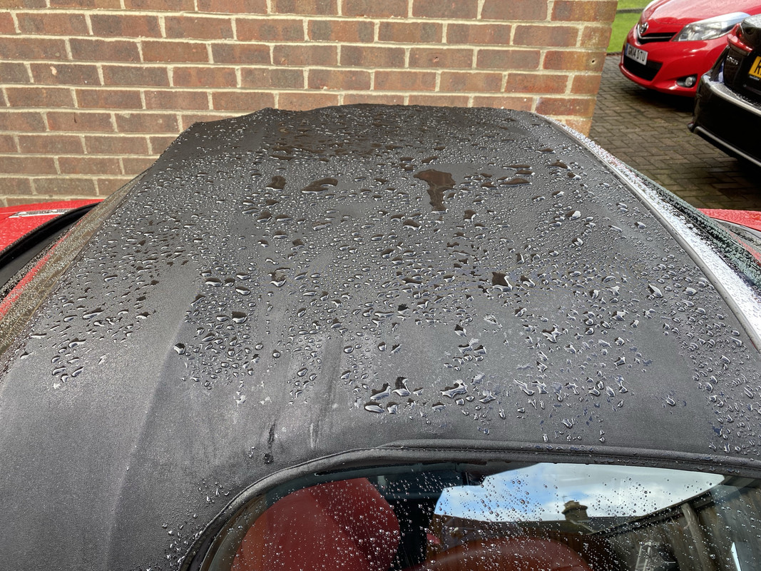 2021-07-30_09-07-32_IMG_0324