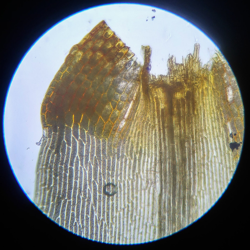 IMG 20250614 112641 HDR