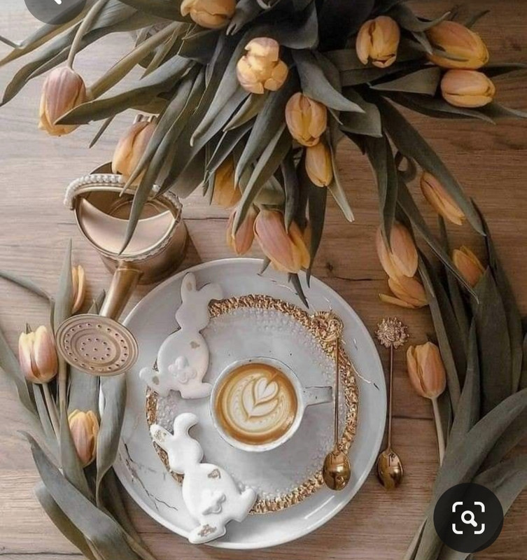 Screenshot_20230415_230139_Pinterest