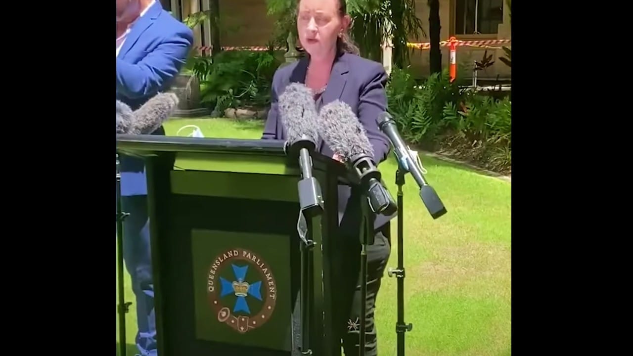 Araña gigante interrumpió la conferencia de COVID-19 en Australia