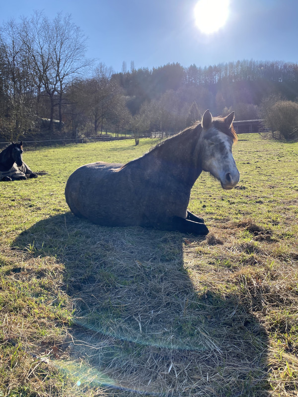 235A0F10-1420-47CD-896B-91EEB1F9B805