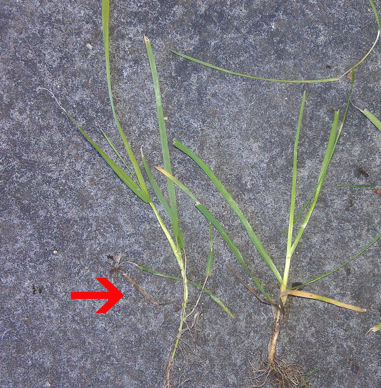 2013-09-23 12.15.09888arrow