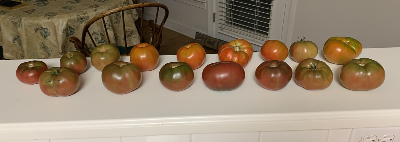 IMG 0156