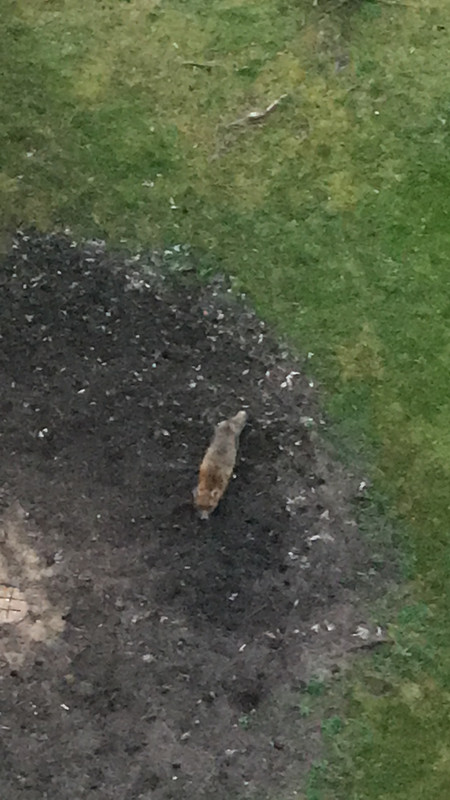 781BDF09-5399-4D50-B84E-EE1DD3A7DAA9