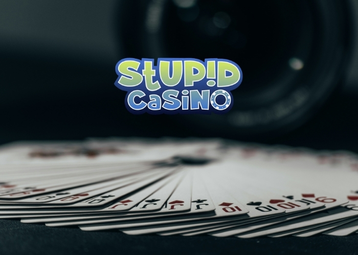 Stupid Casino RTP Fokus