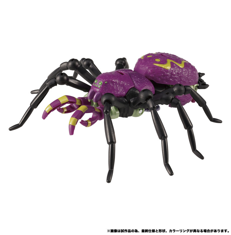 TL-11-Tarantulas-01