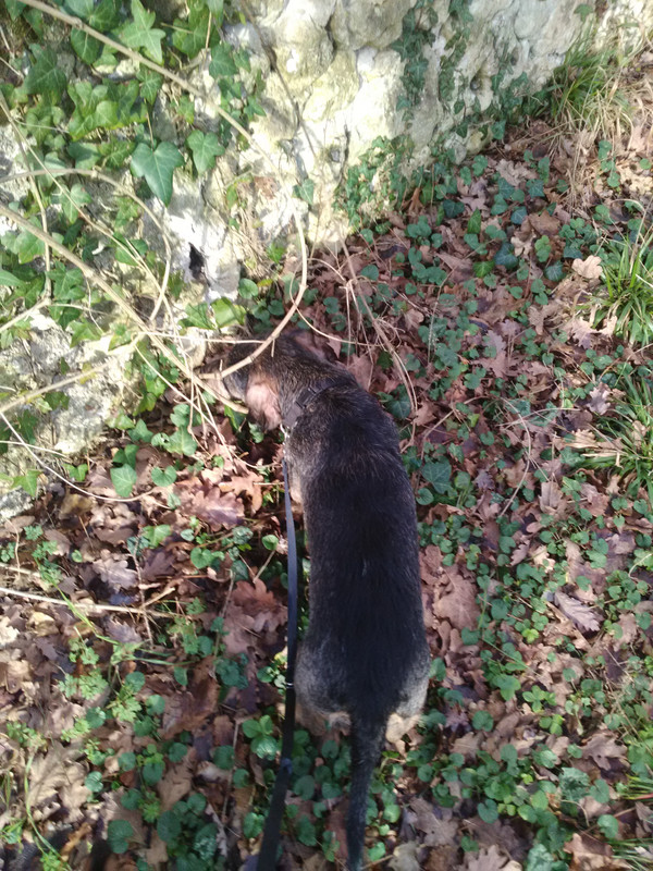 [Image: IMG-20230115-145551.jpg]