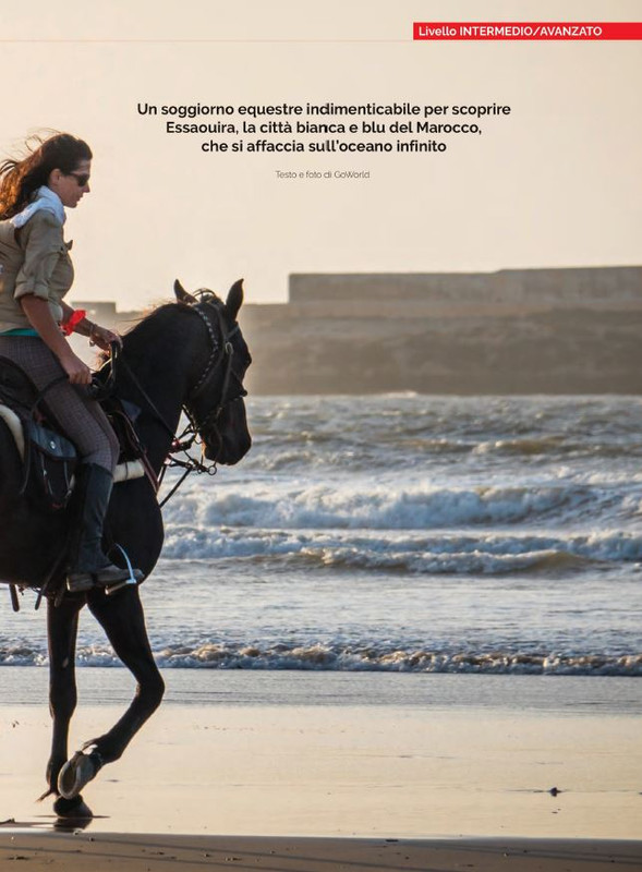 Il Mio Cav (Ott 2022) (2)