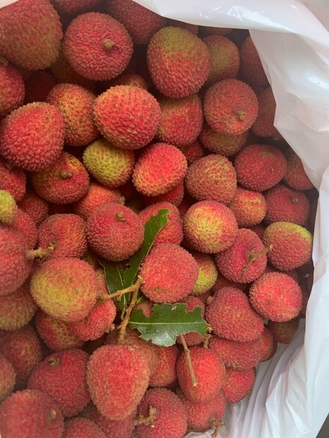 [Image: 1653514287118.jpg]