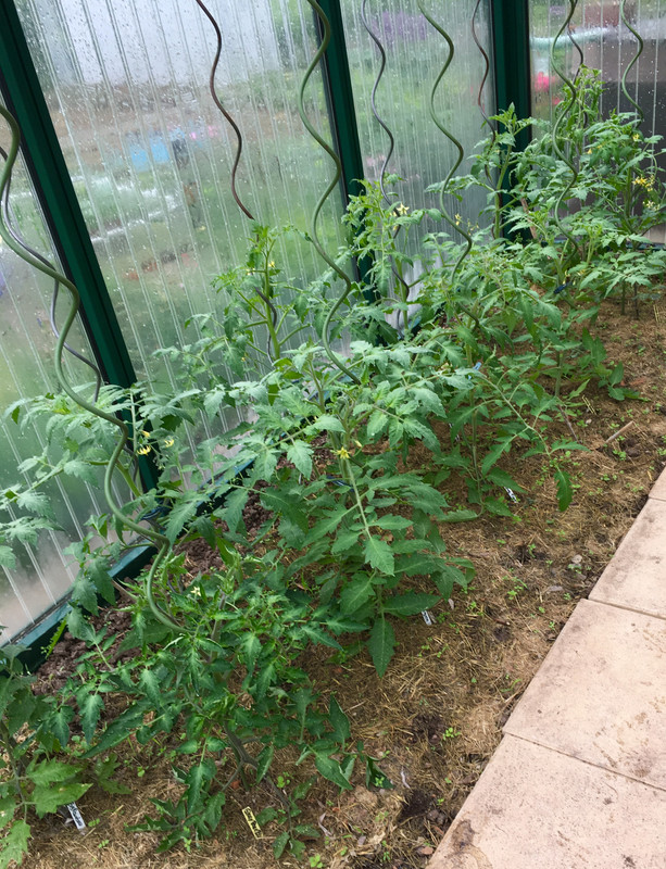 1E7FABC7-B8ED-4248-9638-08CE8FE57625