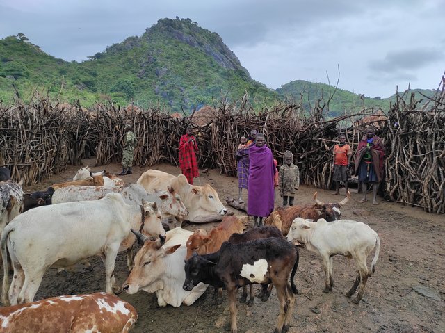 Kabong Town (Tribus) - Kotido - 18 días por las tierras más remotas de Uganda y Kenya (7)