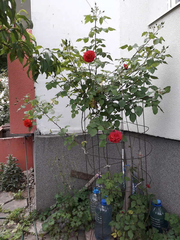 20190530_155048