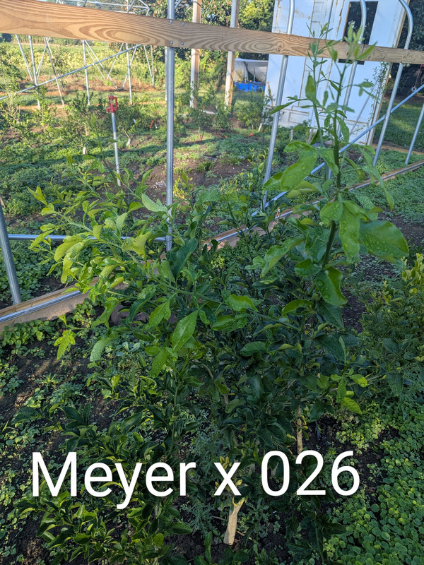 PXL_20250918_122319022~2