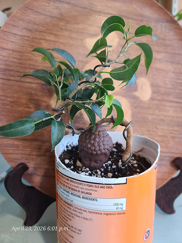 [Image: 20260423-180151.jpg]