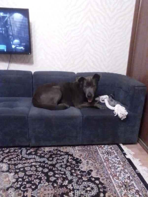 F1EB83E8-FB6E-440D-815A-206D1F3D3C60