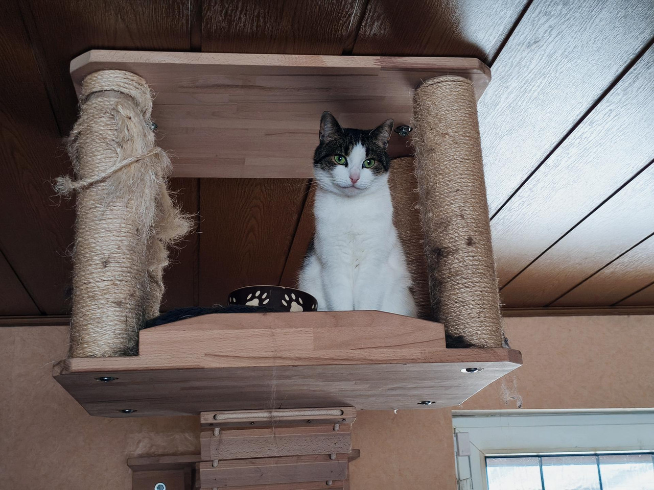 MVIMG 20260409 142846