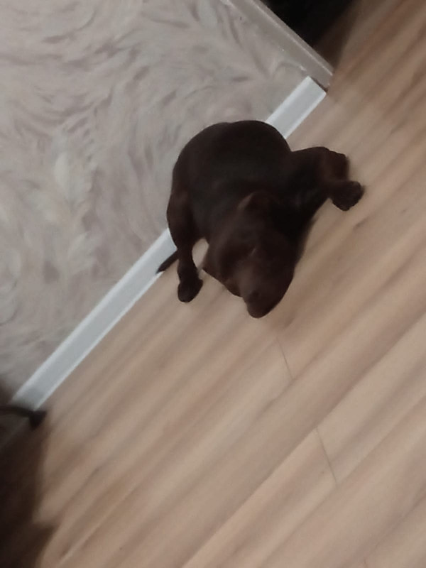 2F37CEEF-1C86-4628-88F1-F93BD0FFBAFF