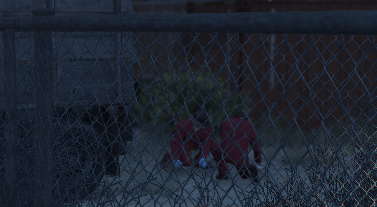 zla4.png