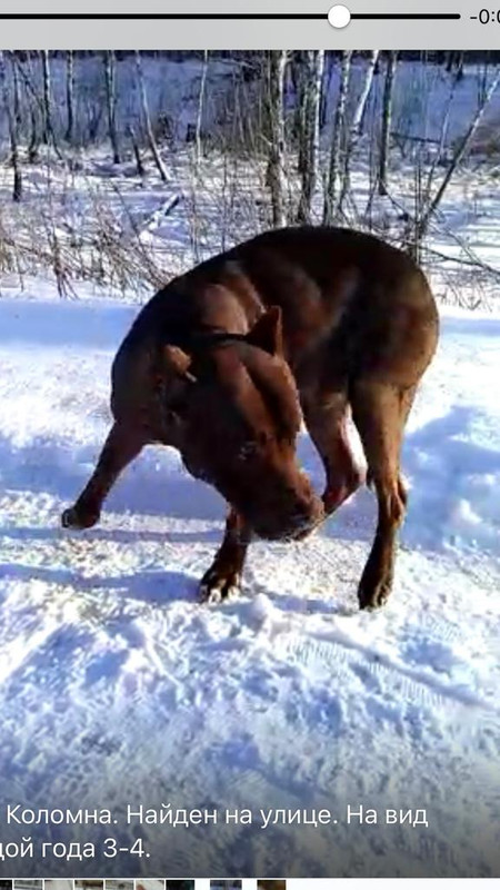 WhatsApp Image 2023-01-06 at 15.30.28 (2)