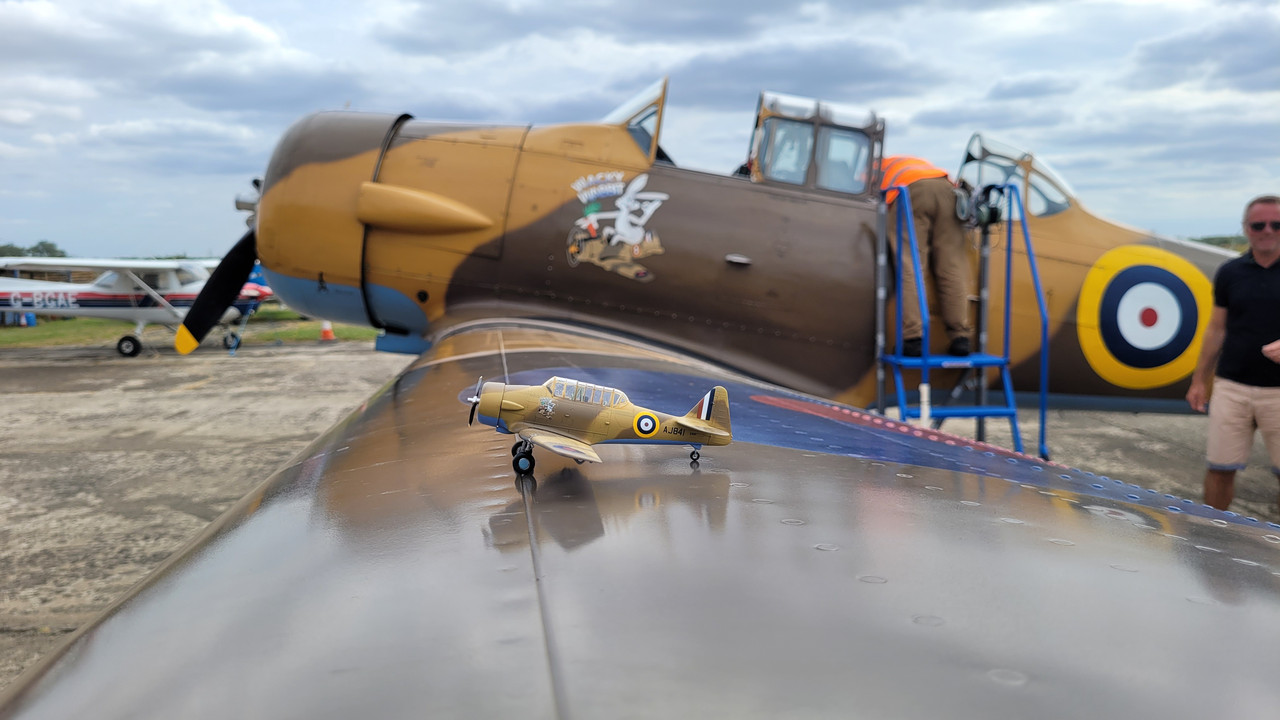 Wacky Wabbits - Special Hobby Harvard with extras - Ready for ...
