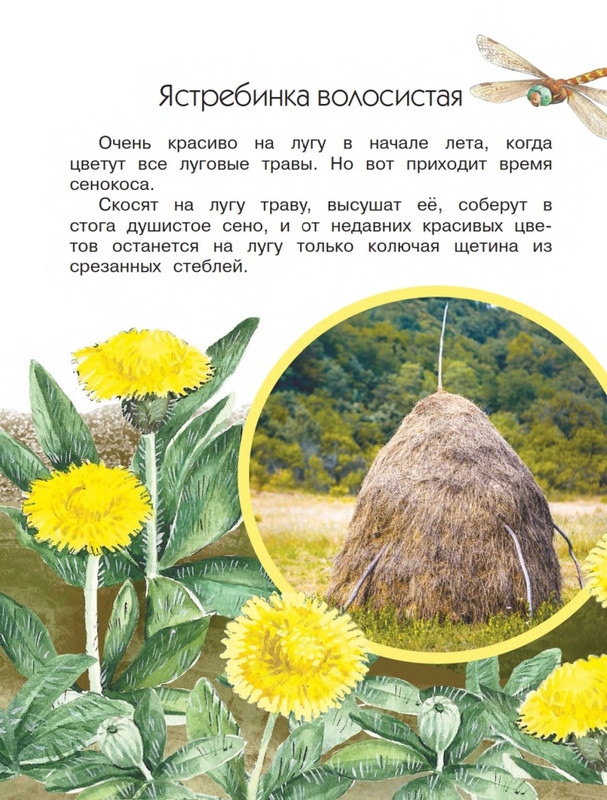 Onegov-Anatolij-Pochemu-kukushka-slozki-lot-page-0045