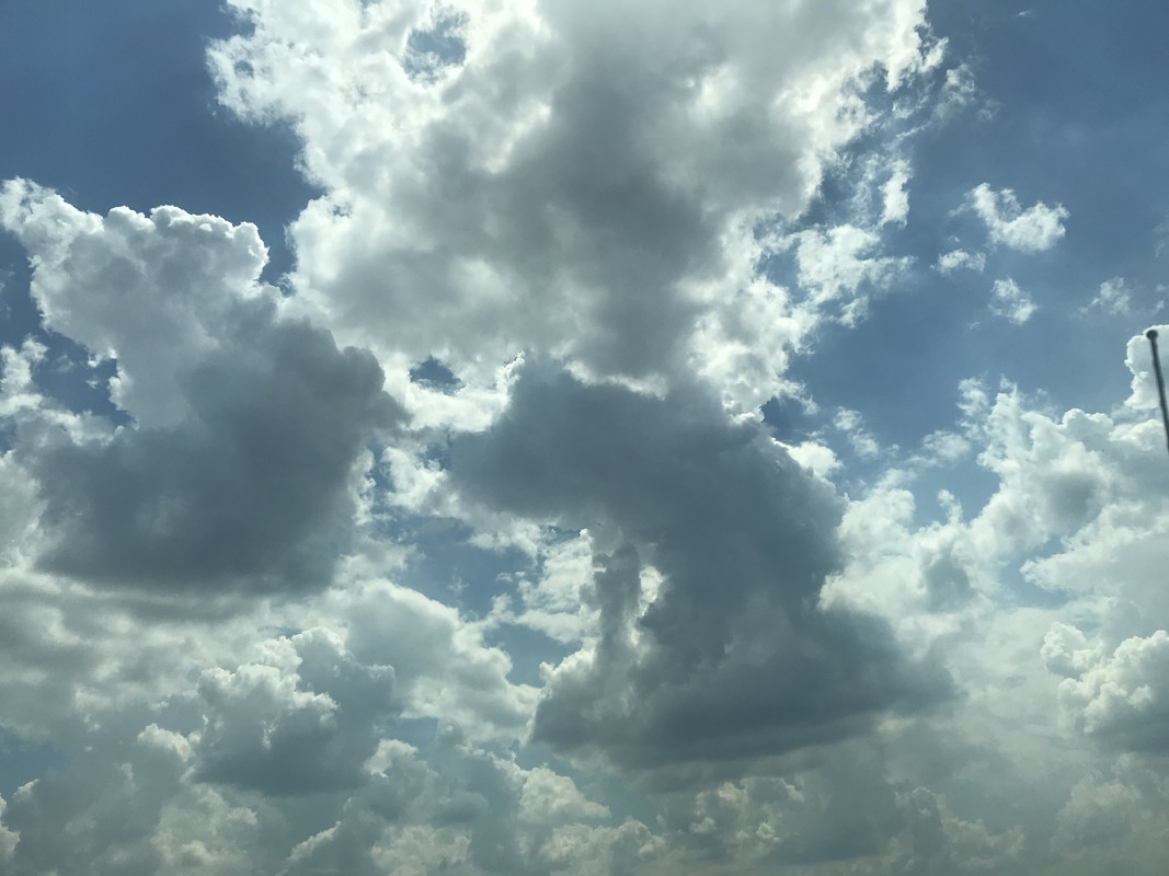 5C0E04BF-7683-4828-91A7-085300C1BEEF